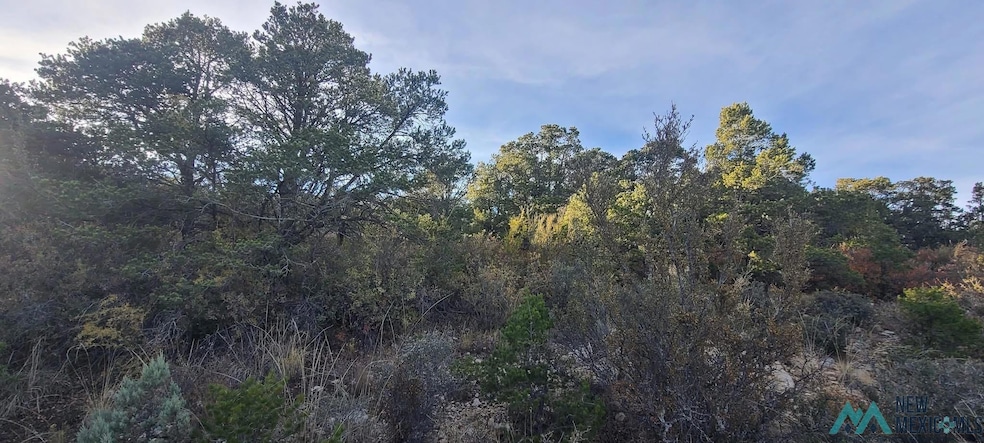 For Sale $9,500 • Co-Listing Agent