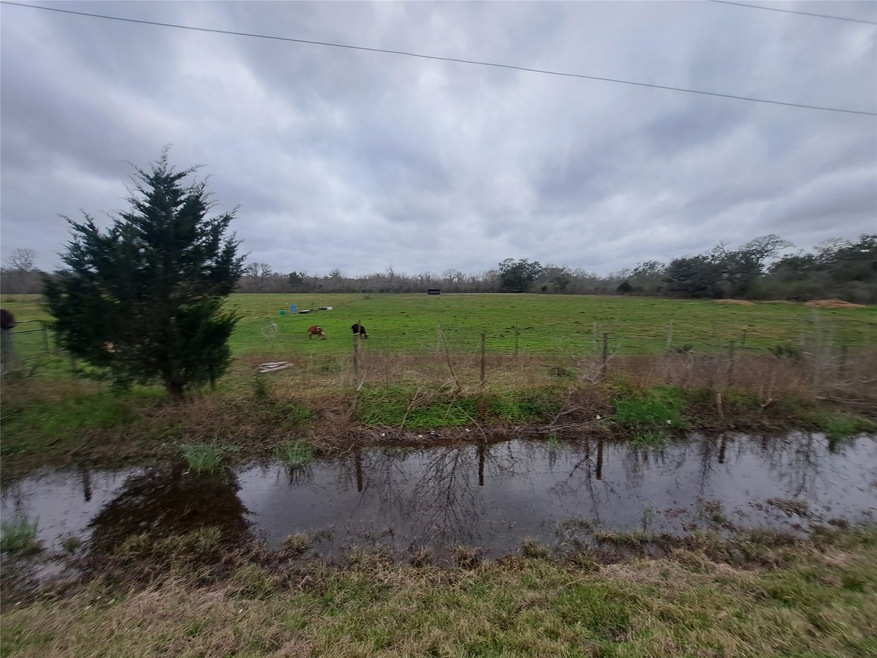 000 County Road 461, Brazoria, TX 77422 - photo 1