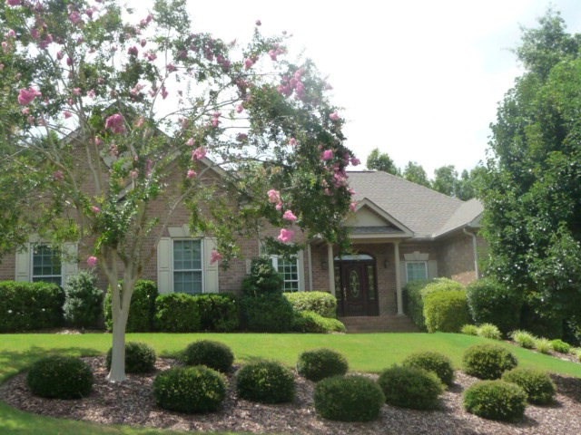Main View