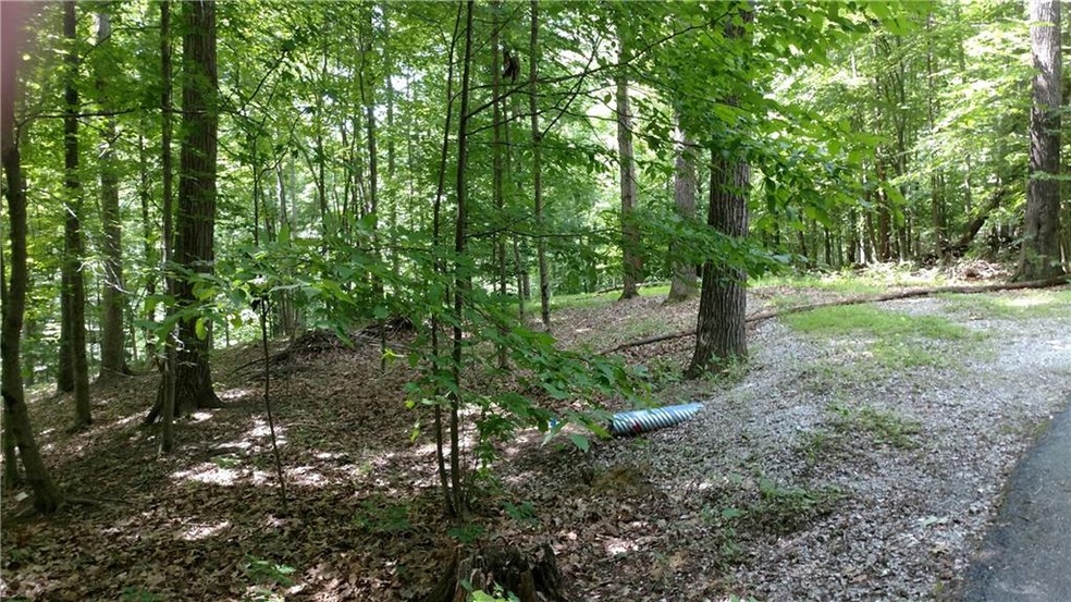 DRIVEWAY GOING DOWN TO THE TWO BUILDING SITES