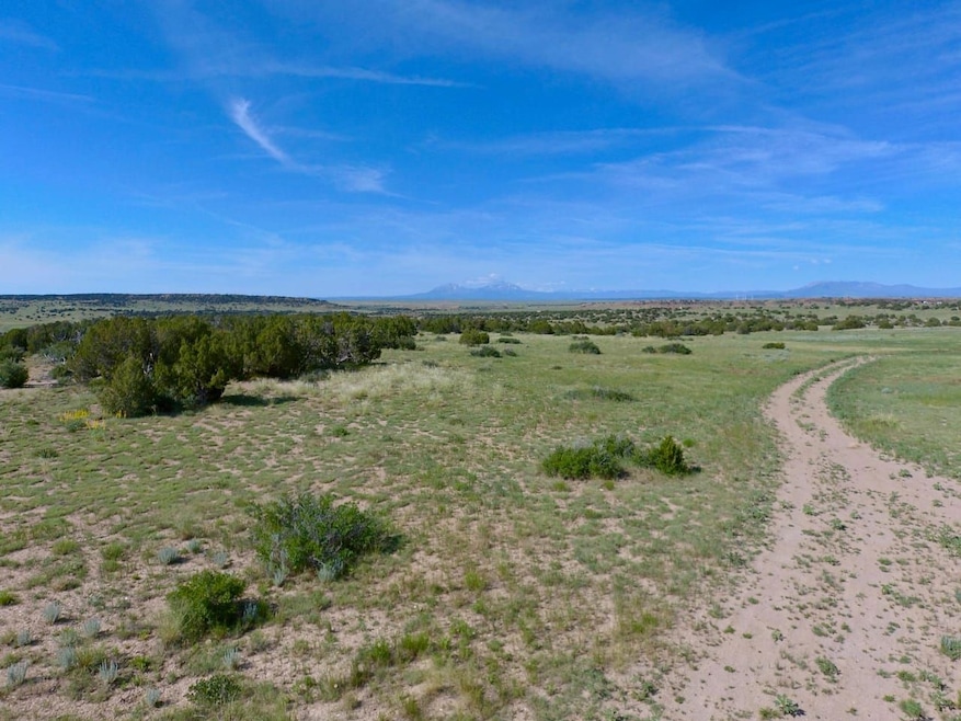 0 Carlson Rd unit 20656187, Rye, CO 81069 - photo 1