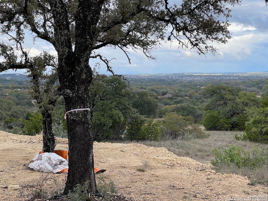 10415 Doherty Springs, San Antonio, TX 78255 - photo 1