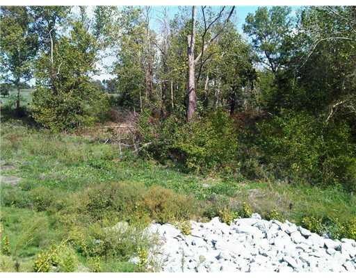 Land/Lot. Cherokee Creek on property