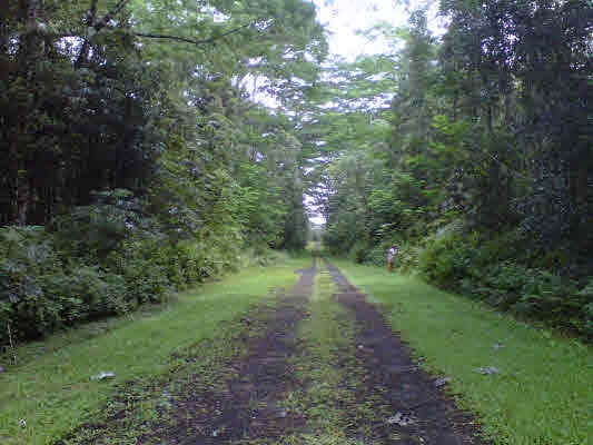 Lot is on right, ending by figure in background