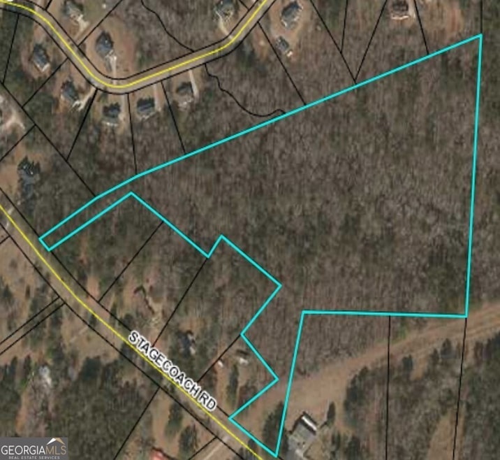 0 Stagecoach Rd unit 20.17 ACRES 10455441, Stockbridge, GA 30281 - photo 1