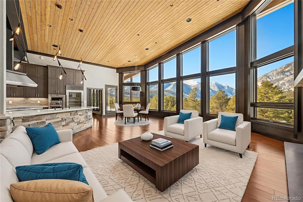 21261 Broadview Rd, Nathrop, CO 81236 - photo 1