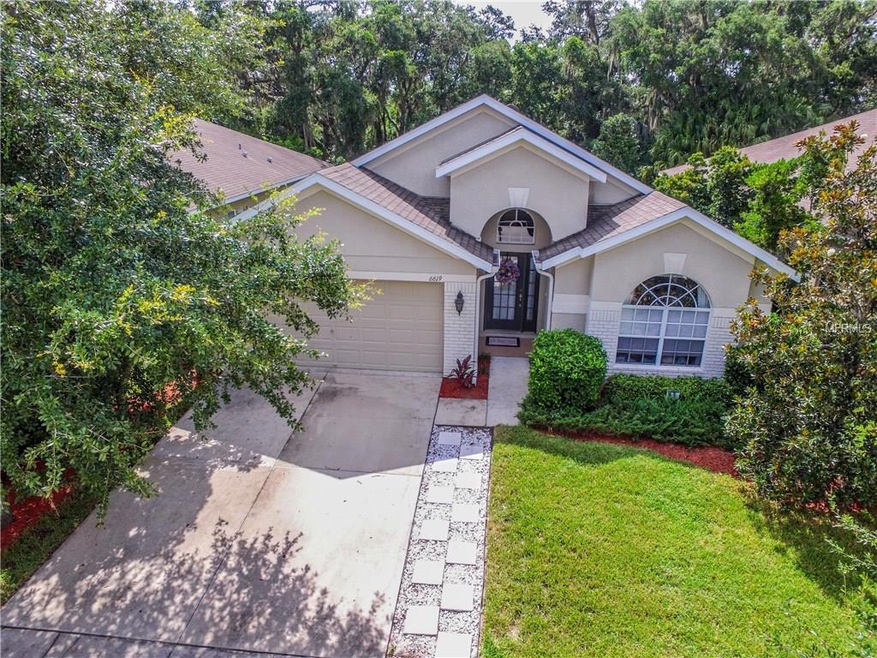 6619 Bluff Meadow Ct, Wesley Chapel, FL 33545 - photo 1