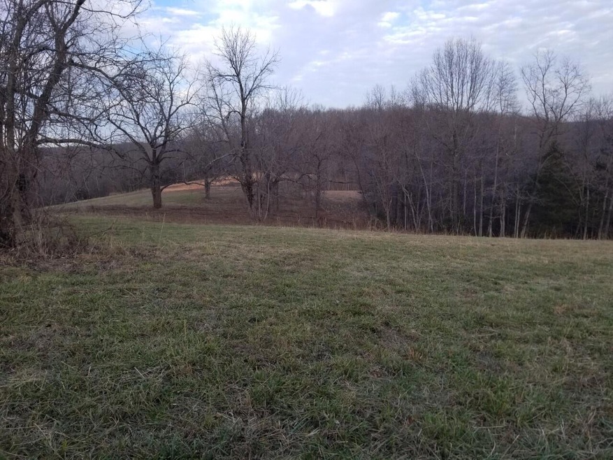 Schlessman new pic 5