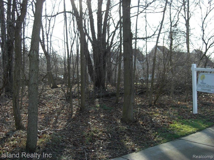 00 Macomb St, Grosse Ile, MI 48138 - photo 1