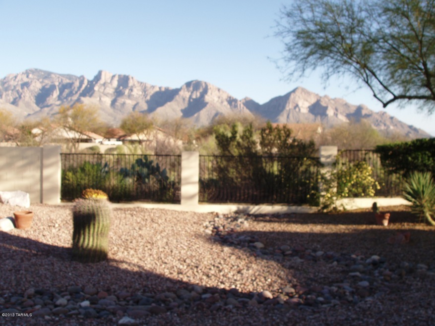 Backyard Awesome Views