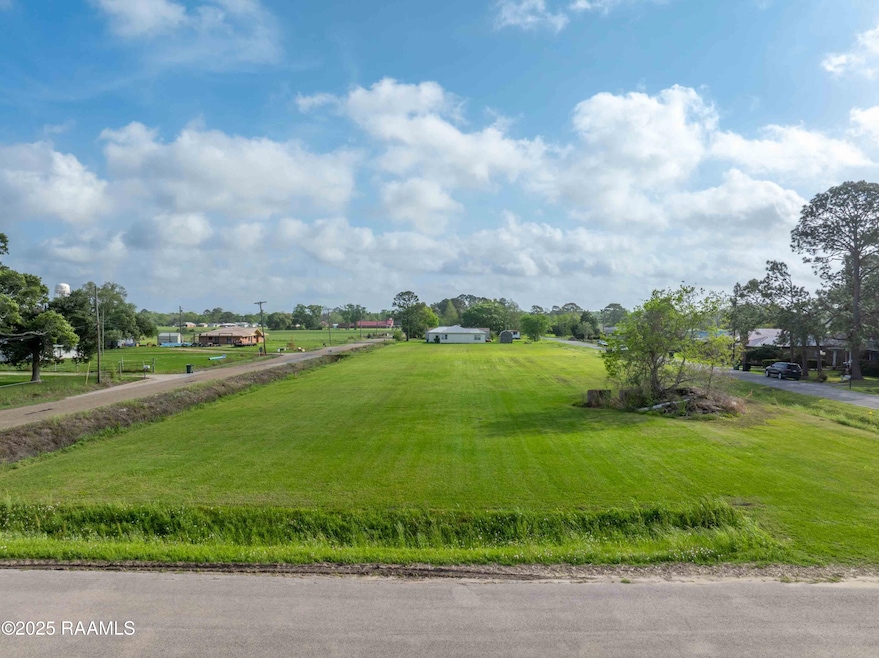 1017 Monnot Rd, Jeanerette, LA 70544 - photo 1