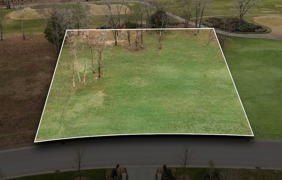 8025 Backwoods Dr, College Grove, TN 37046 - photo 1