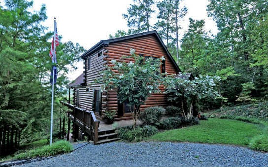 Main View