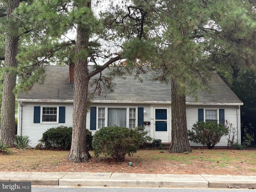 1001 Riverside Dr, Salisbury, MD 21801 - photo 1