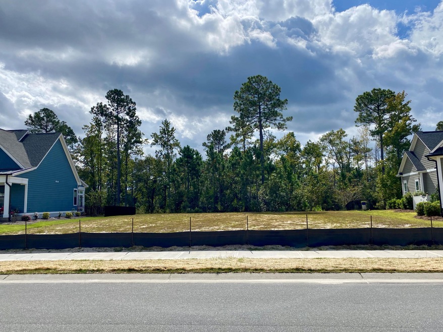 1284 Cross Water Cir, Leland, NC 28451 - photo 1