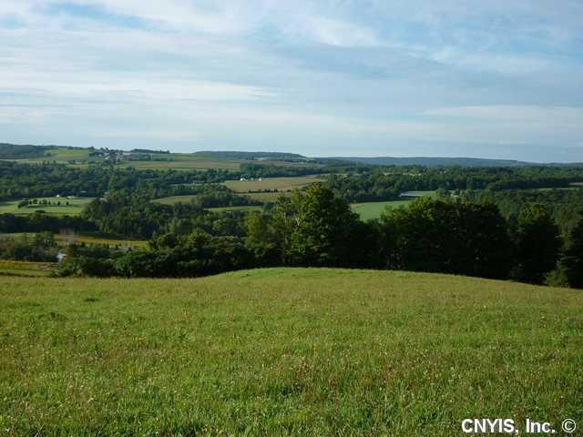 View Facing South from middle of property
