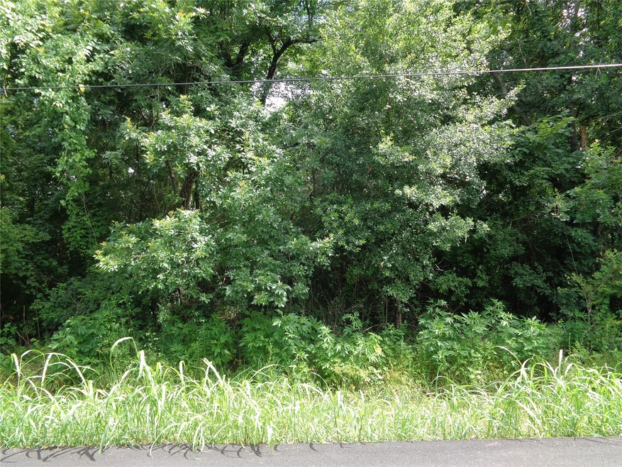 0 Bay Ct unit 98964112, Brazoria, TX 77422 - photo 1