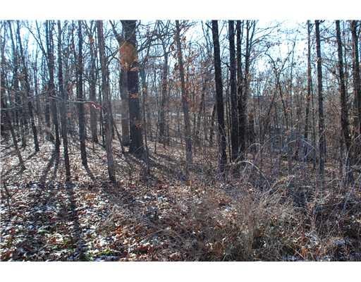 Exterior Front. Wooded lot that has water and electric run to it.