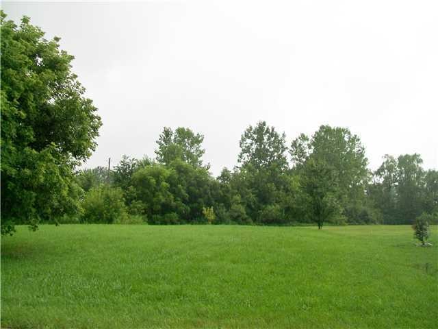 Primary Photo
