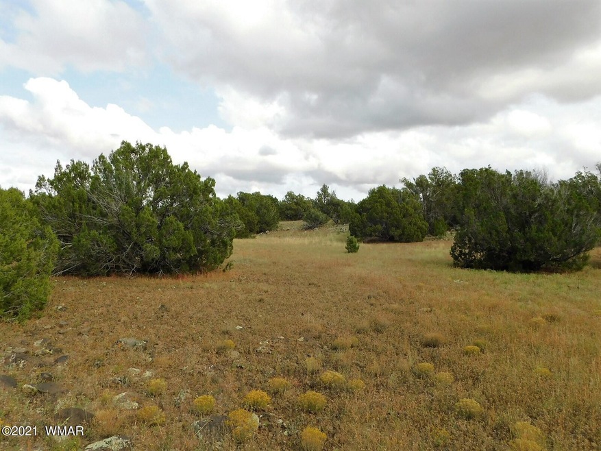Lot No. 59 Sequoia Pl. Show Low, Az