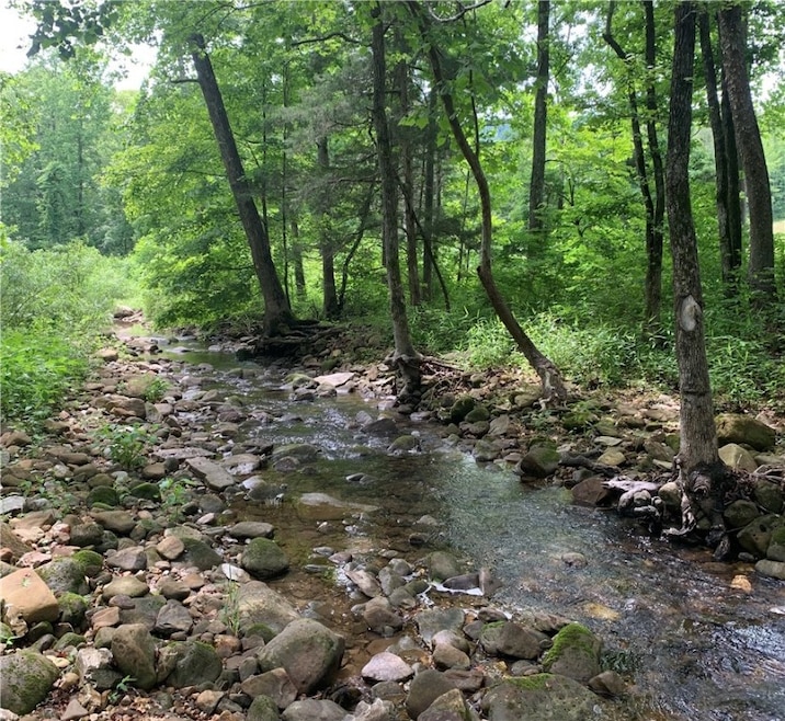 0 Nc 2922 unit 1317403, Marble Falls, AR 72648 - photo 1