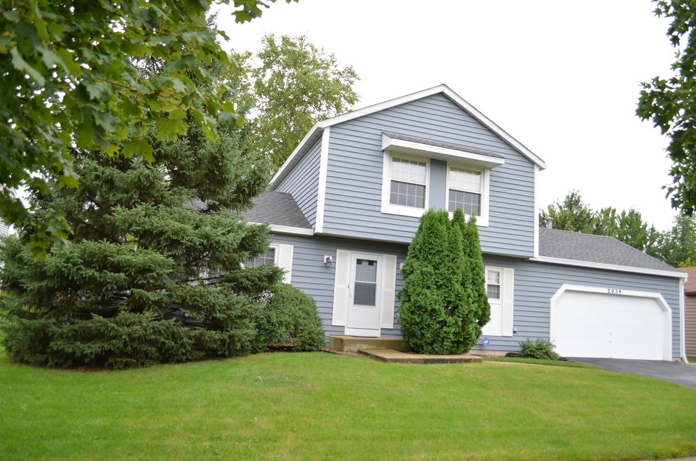 2039 University Dr, Naperville, IL 60565 - photo 1