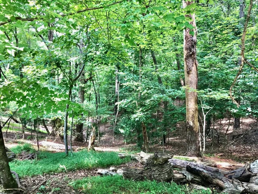 0 Palisade Dr unit 2126 9031009, Ellijay, GA 30540 - photo 1