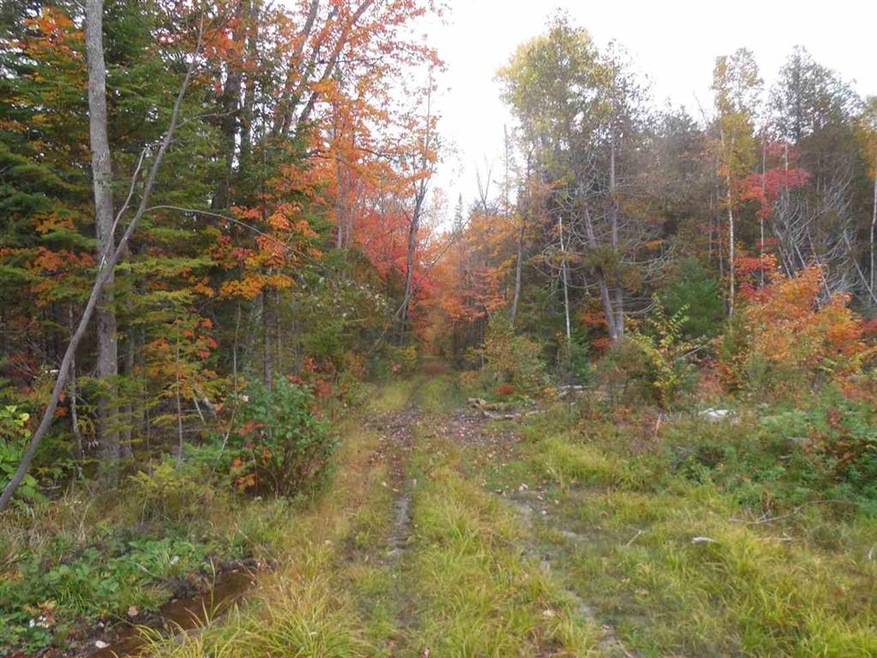 1880 Underpass Rd, Sutton, VT 05867 - photo 1