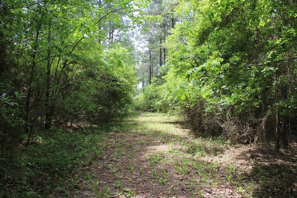 0 Fm 2497 unit 62476, Hudson, TX 75904 - photo 1