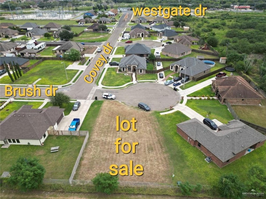 2909 Brush Dr, Weslaco, TX 78599 - photo 1