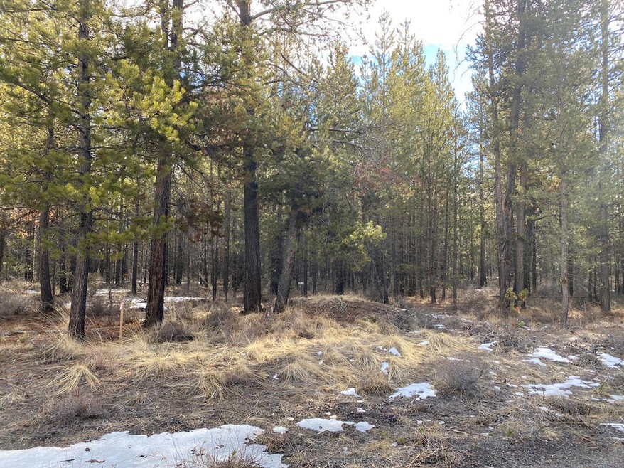 pic 2