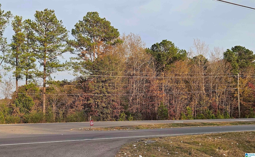 0 U S Highway 280, Childersburg, AL 35044 - photo 1