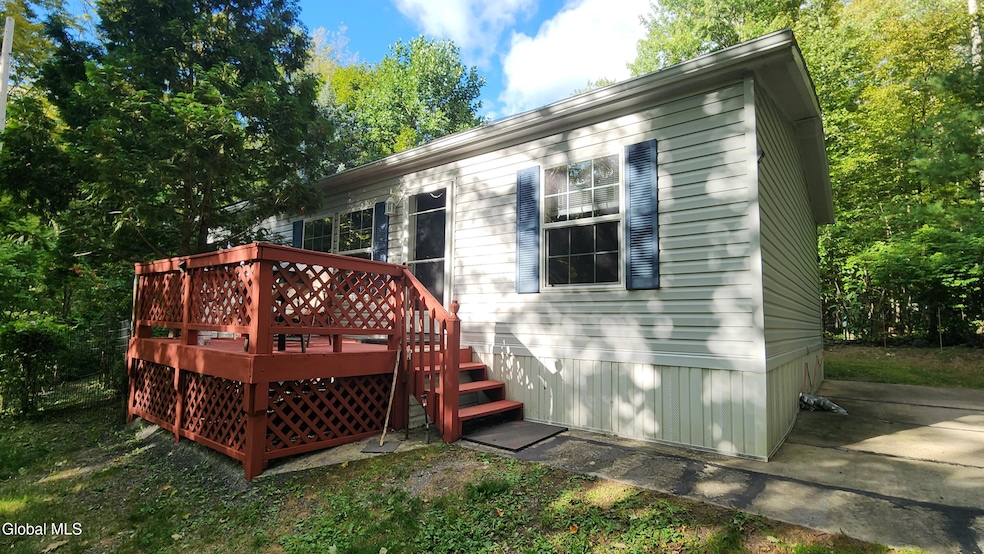 201 Edison Timmerman Rd, Cairo, NY 12413 - photo 1
