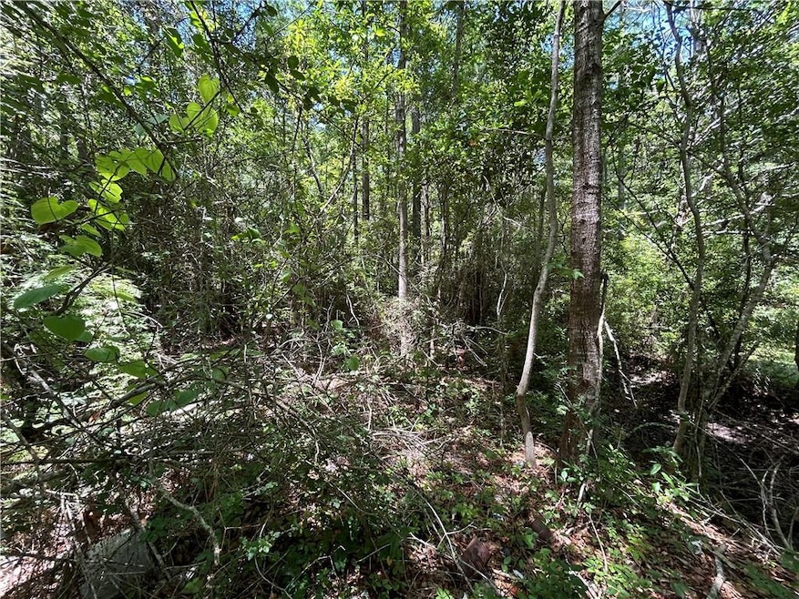View of local wilderness