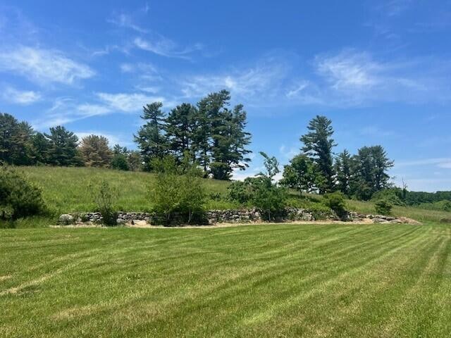 Stone Wall Photo