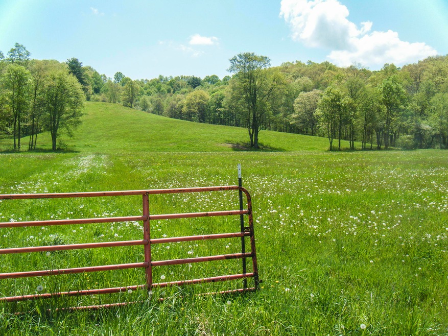 Thru the gate shot