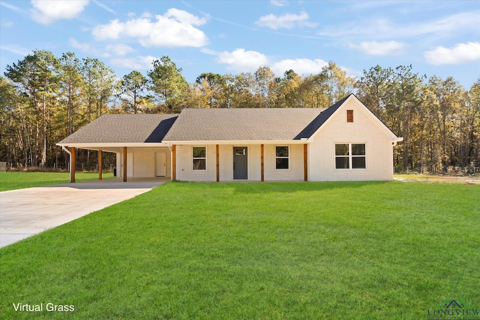 1725 Deanna Rd, Diana, TX 75640 - photo 1