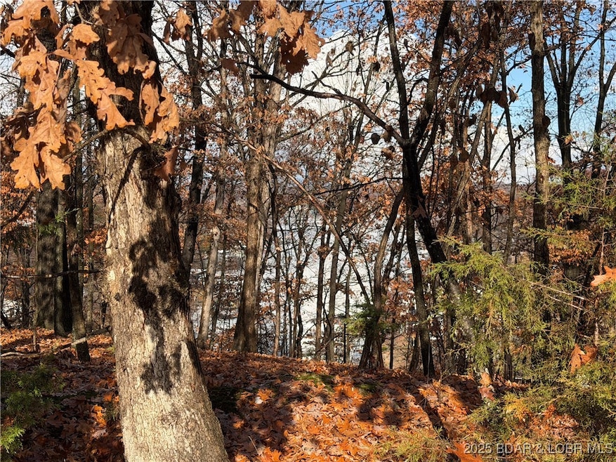 Lot 46 Carol Rd, Pawhuska Township, MO 65049 - photo 1