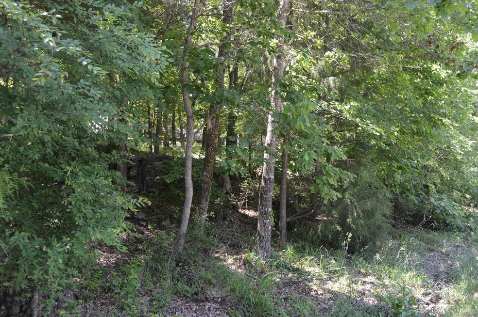 Tbd Wildflower Lots 31 & 32, Kimberling City, MO 65686 - photo 1