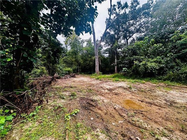 Parcel #1 16 Hwy, Franklinton, LA 70438 - photo 1