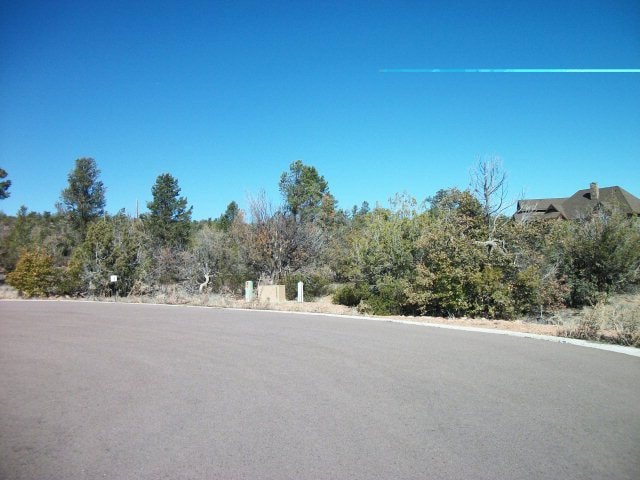 Primary Photo