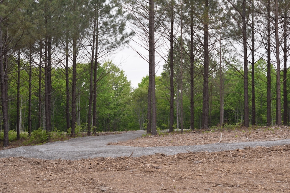 19 Chestnut Dr, Linden, TN 37096 - photo 1