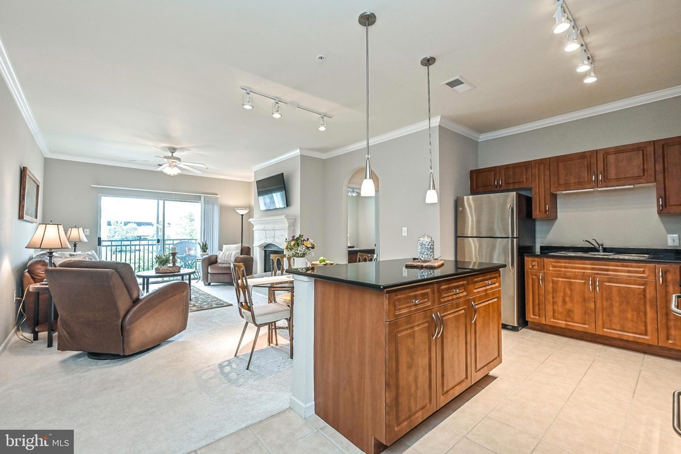 12957 Centre Park Cir unit 304, Herndon, VA 20171 - photo 1