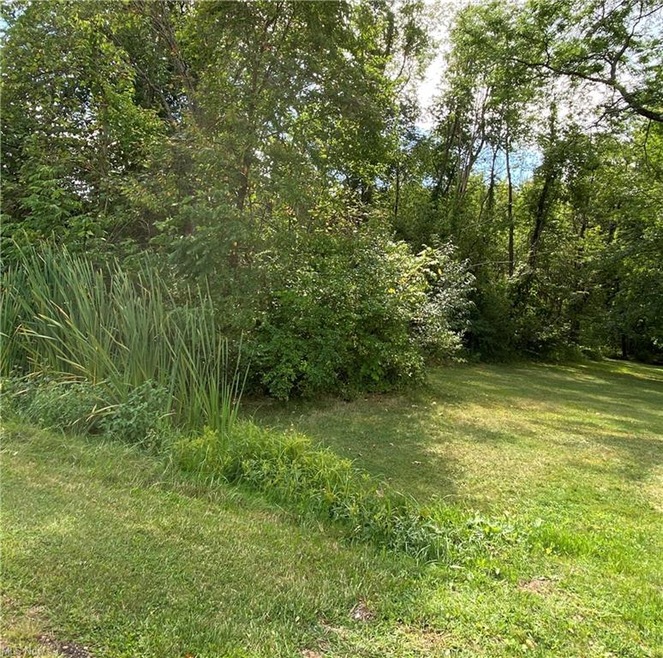 0 Woodlawn Dr unit 4208693, Doylestown, OH 44230 - photo 1