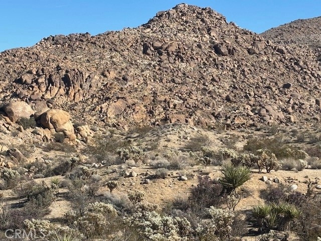 7085 Alturas Dr, Joshua Tree, CA 92252 - photo 1