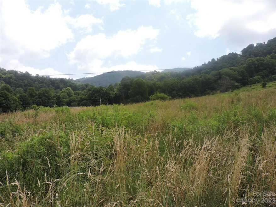 TBD Green Leaf Rd, Burnsville, NC 28714 - photo 1