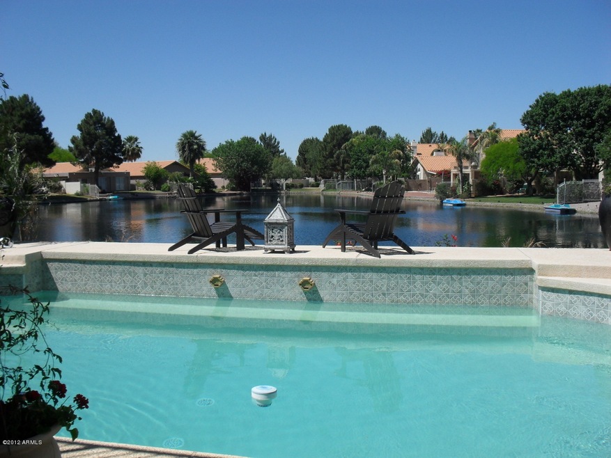 Backyard Oasis!