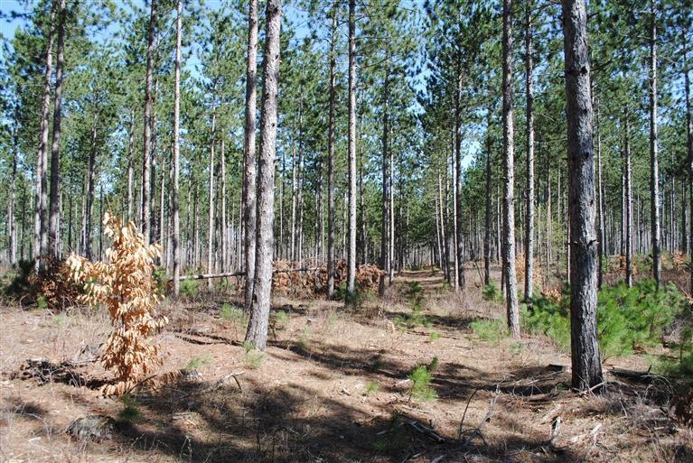 0 S 230th Ave, Lincoln Township, MI 49677 - photo 1