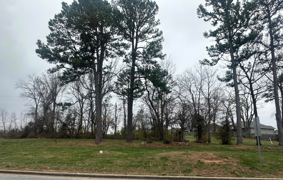 806 E Tracker Rd, Nixa, MO 65714 - photo 1