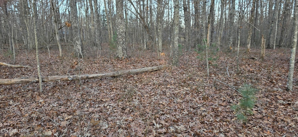 CRESTVIEW LOOP